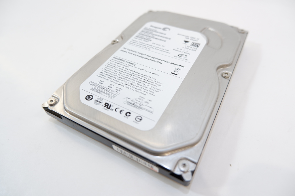 SATA Seagate ST3160815AS 160GB - Pic n 265218