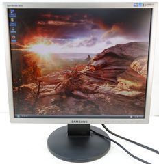 Монитор 19" Samsung 943N царапины на матрице